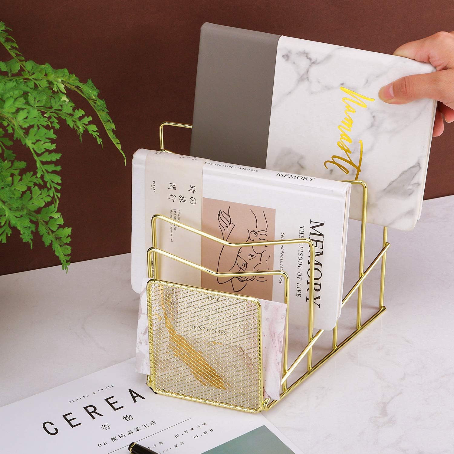 Z PLINRISE Clasificador de archivos inclinado, estante de alambre para correos, carpetas y libros, organizador de almacenamiento de papel de