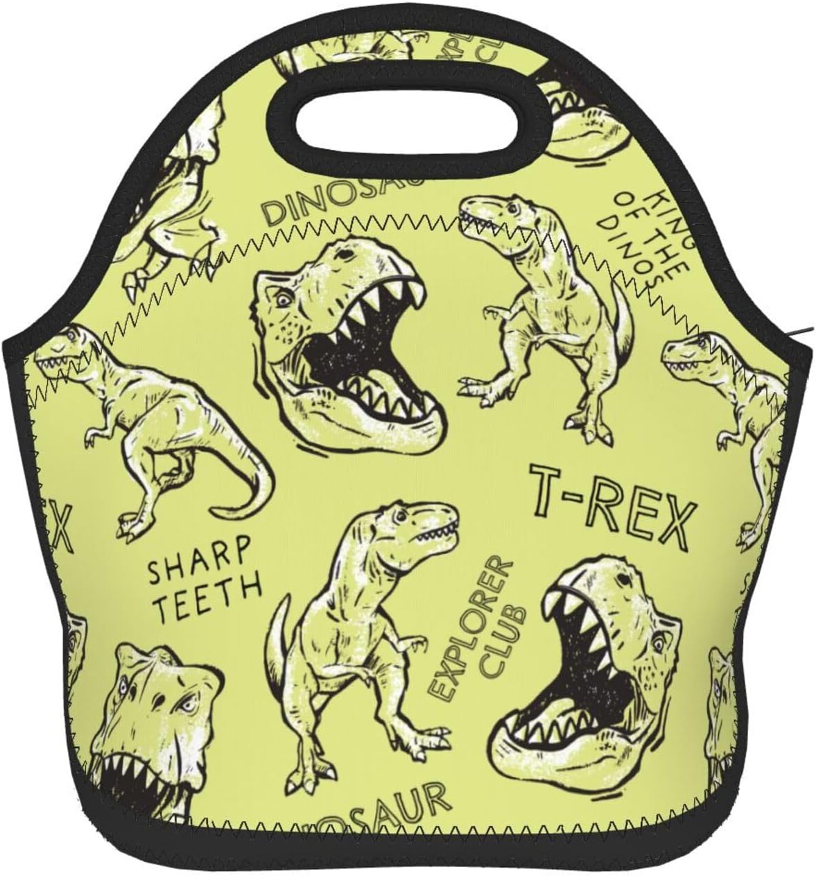 Lonchera reutilizable con diseño de dinosaurios, a prueba de fugas, bolsa de almuerzo portátil para mujeres y hombres, bolsa de mano para el