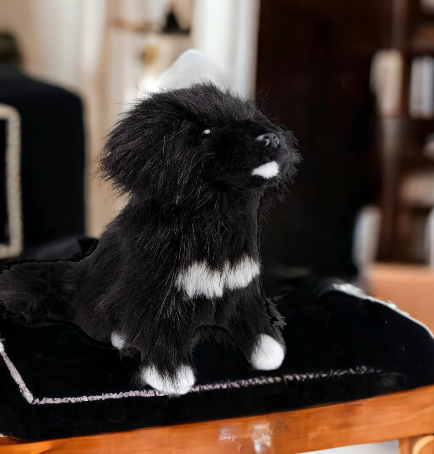 Adorable juguete de peluche de Terranova de 10 pulgadas, suave y esponjoso, para niños y niñas, bonita muñeca de animal para jugar y comodidad