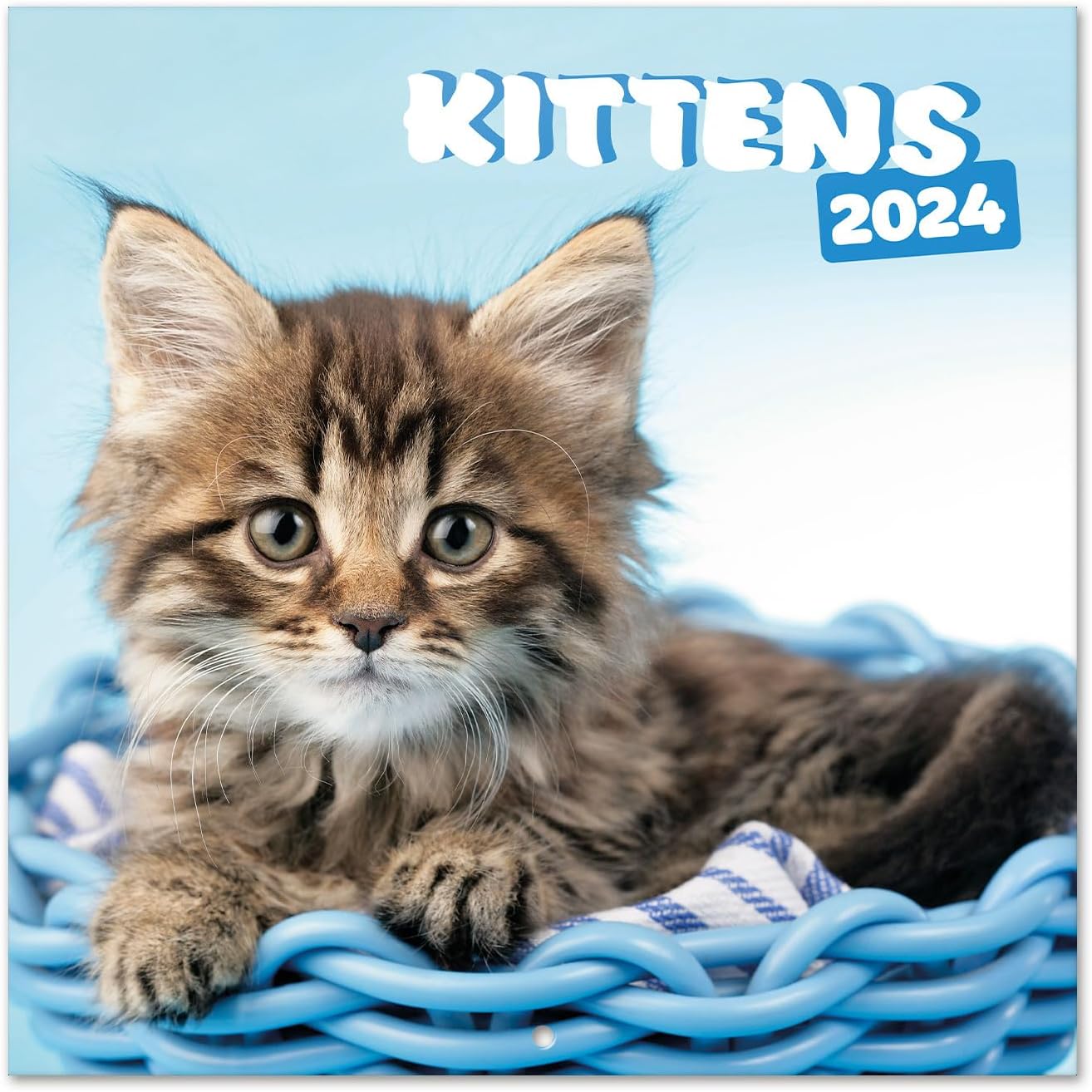 Calendario de pared de gatos 2024 de 12 x 12 pulgadas, libre de plástico FSC, comienza la semana el domingo, planificador de 12 meses, calendario de