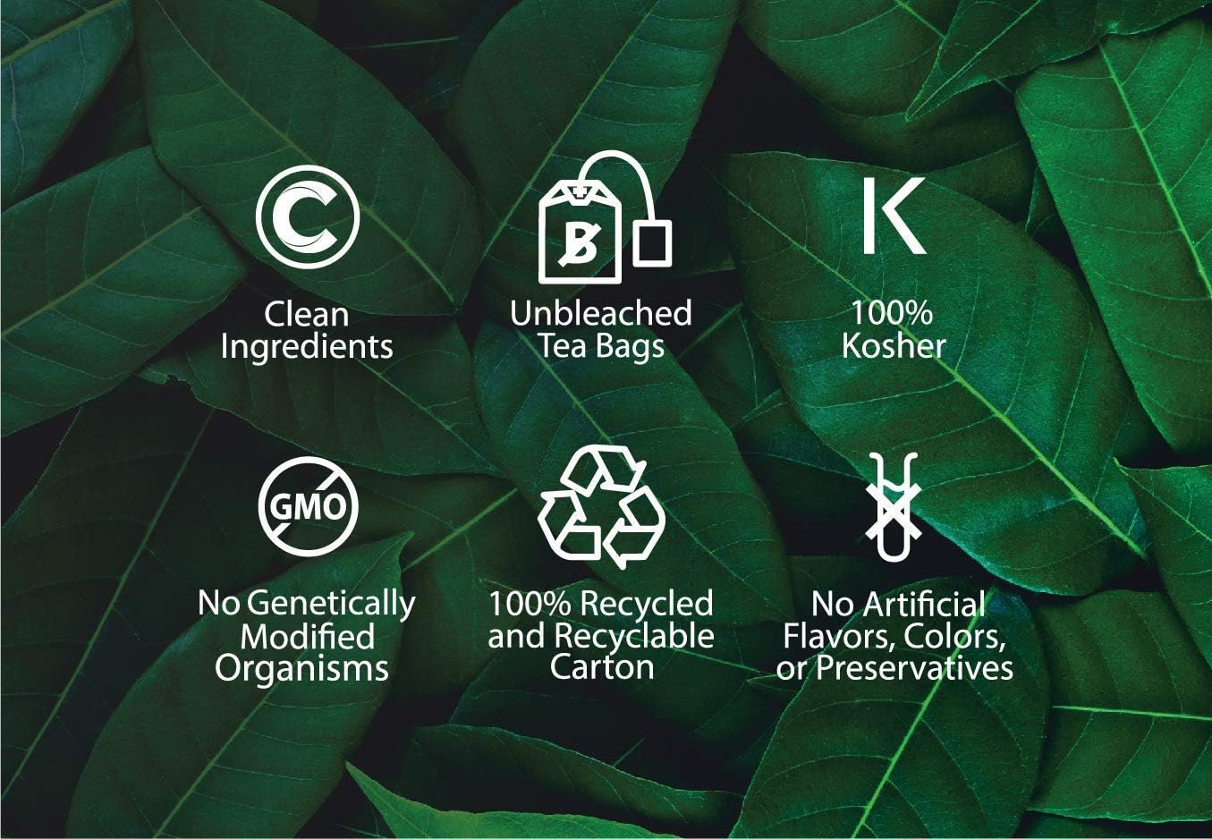Buddha Teas Té orgánico de raíz de astrágalo – OU Kosher, orgánico USDA, orgánico CCOF, 18 bolsas de té sin blanqueador