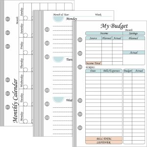 164 hojas de repuesto para sistema de presupuesto de 6 agujeros, 37.4 x 66.93 pulgadas, clásico, semanal, mensual, A6, insertos de planificador 164 hojas de repuesto para sistema de presupuesto de 6 agujeros, 37.4 x 66.93 pulgadas, clásico, semanal, mensual, A6, insertos de planificador