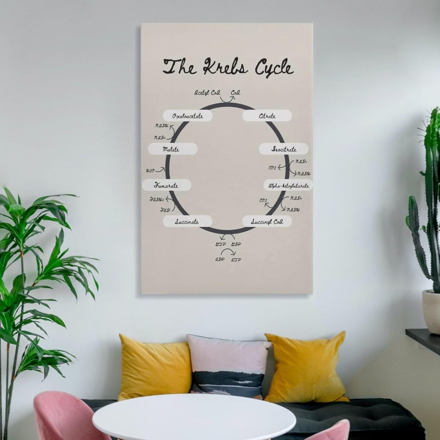 Krebs Cycle – Póster de biología del ciclo TCA de la nutrición, póster educativo, arte de pared, lienzo, decoración de pared, decoración del hogar,
