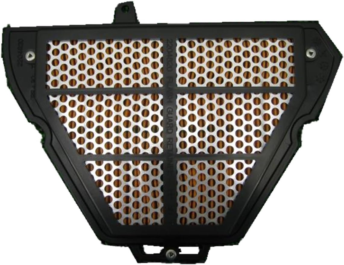 Triumph Filtro de aire T2204820