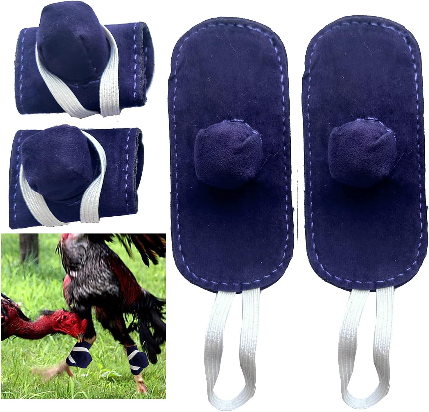 Arlina Arilaca Gamefowl – Suministros de gallo, suministros para pollos para el cuidado de las aves de corral, protección de combate azul (4 pecs)