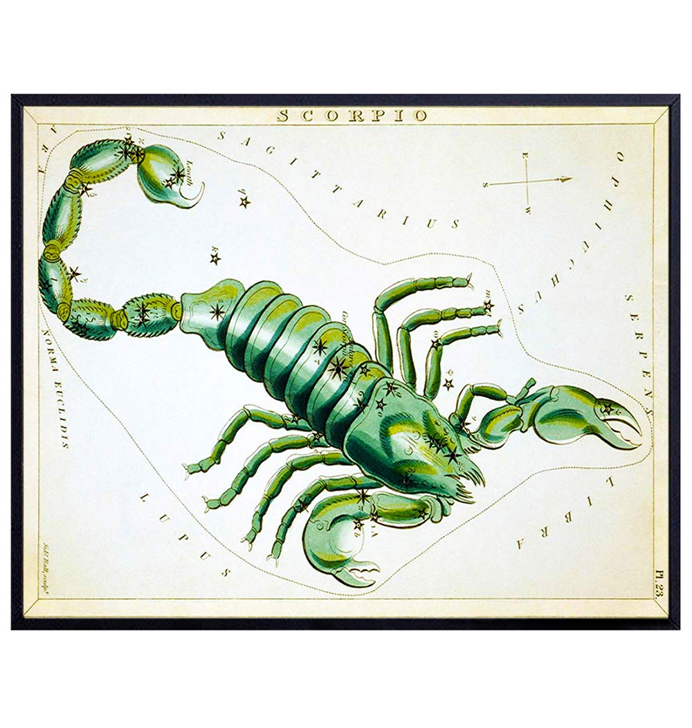 Vintage Scorpio Astrological Zodiac Chart – Great Gift and Chic Home Decor – Stars – Ready to Frame (8×10) Photo