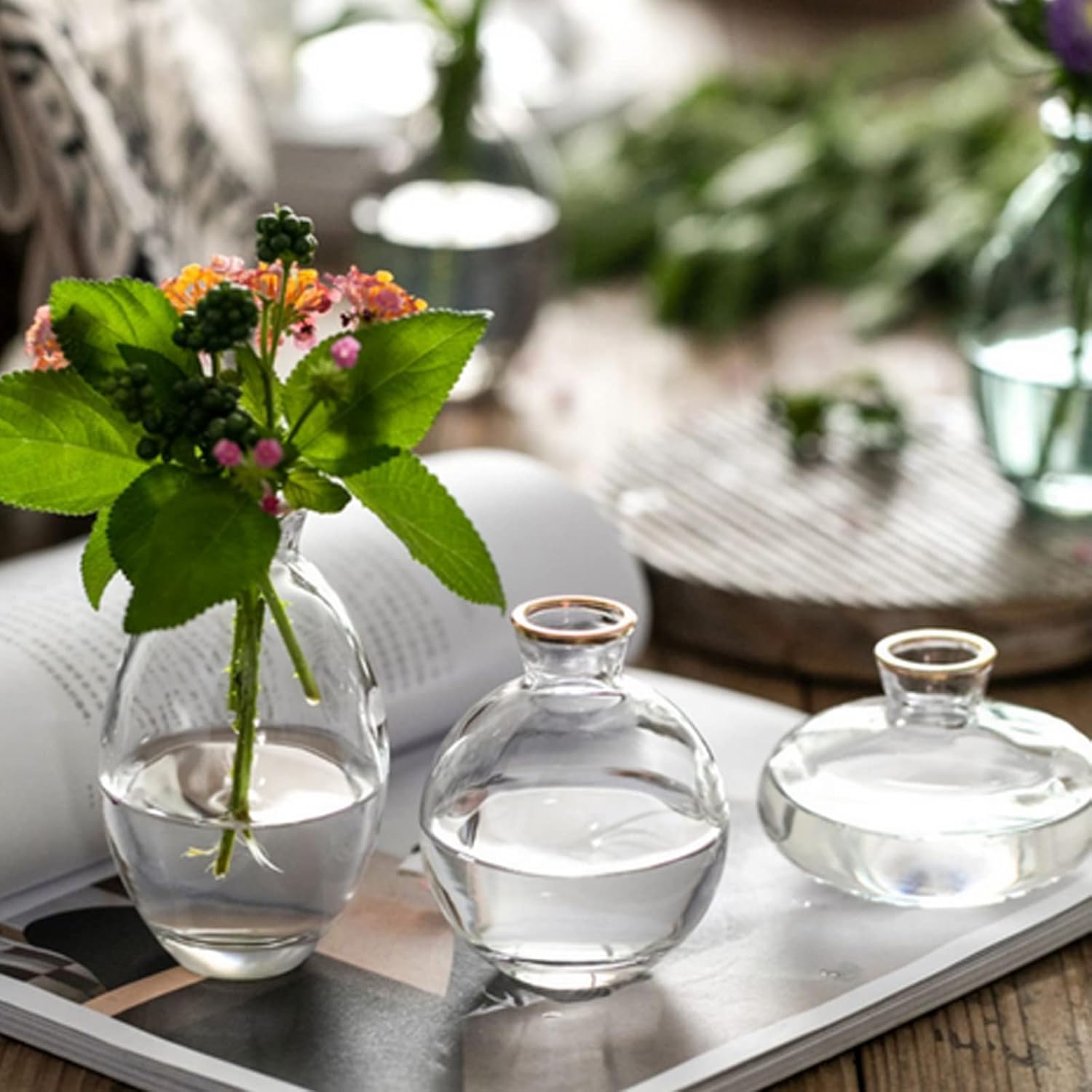 Small Vases for Centerpieces Glass Esmiome – Clear with Gold Rim 3pcsSet Bud Vases, Short Minimalist Vase Clear Modern Flower Vase Mini Tiny Vases