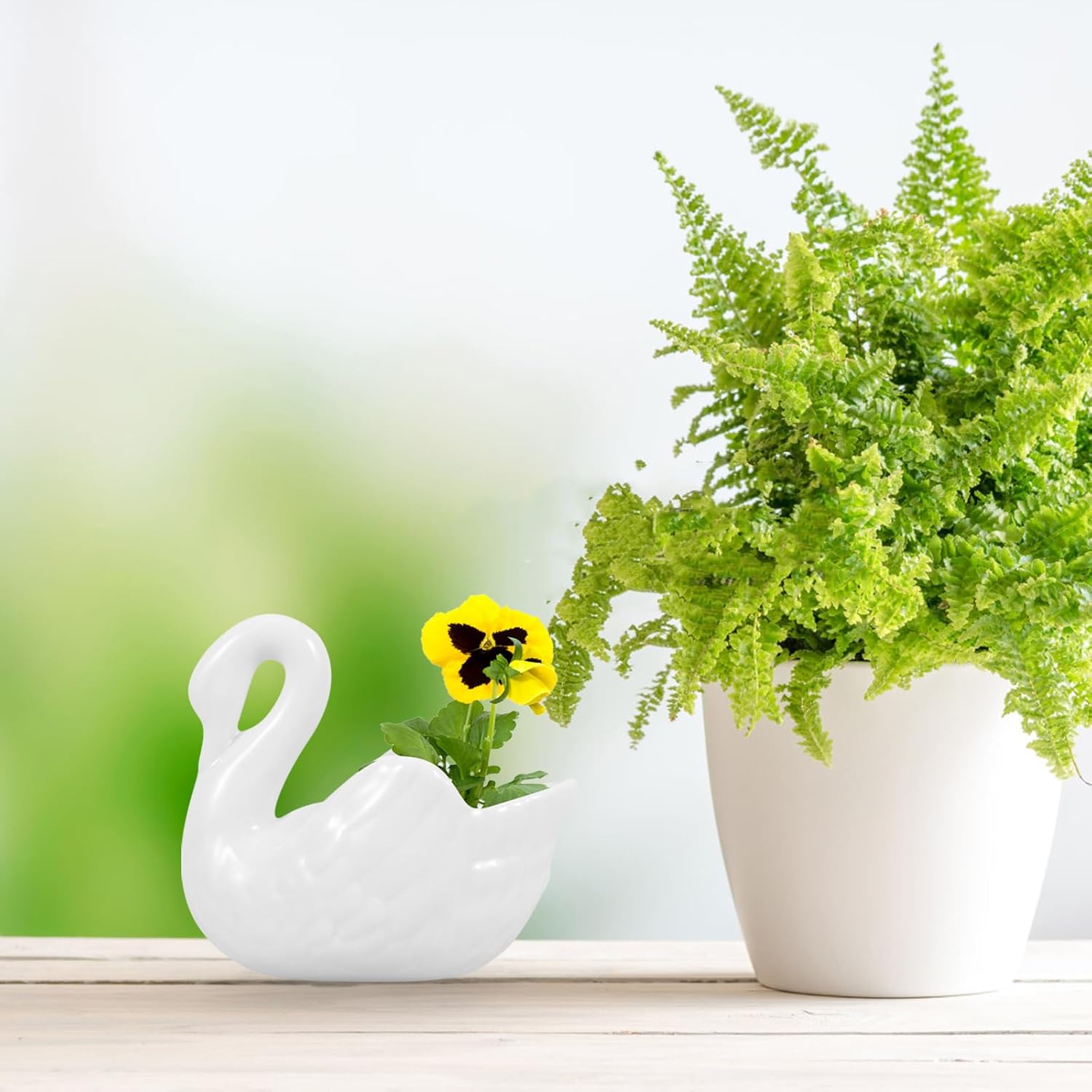 Yardwe Maceta de cisne blanco de cerámica, maceta con forma de cisne para suculentas, decoración del hogar, decoración del jardín (sin agujeros de
