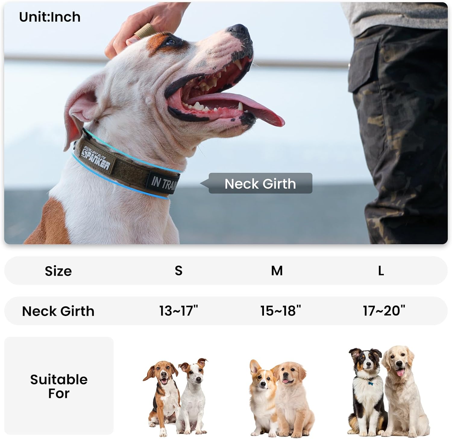 EXCELLENT ELITE SPANKER Collar de perro de nailon ajustable para perros pequeños, collar acolchado suave para perros pequeños