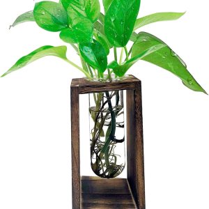 Jarrón de tubo de ensayo de vidrio transparente para terrario de plantas, con soporte de madera maciza retro de rombo, estación de propagación de Jarrón de tubo de ensayo de vidrio transparente para terrario de plantas, con soporte de madera maciza retro de rombo, estación de propagación de