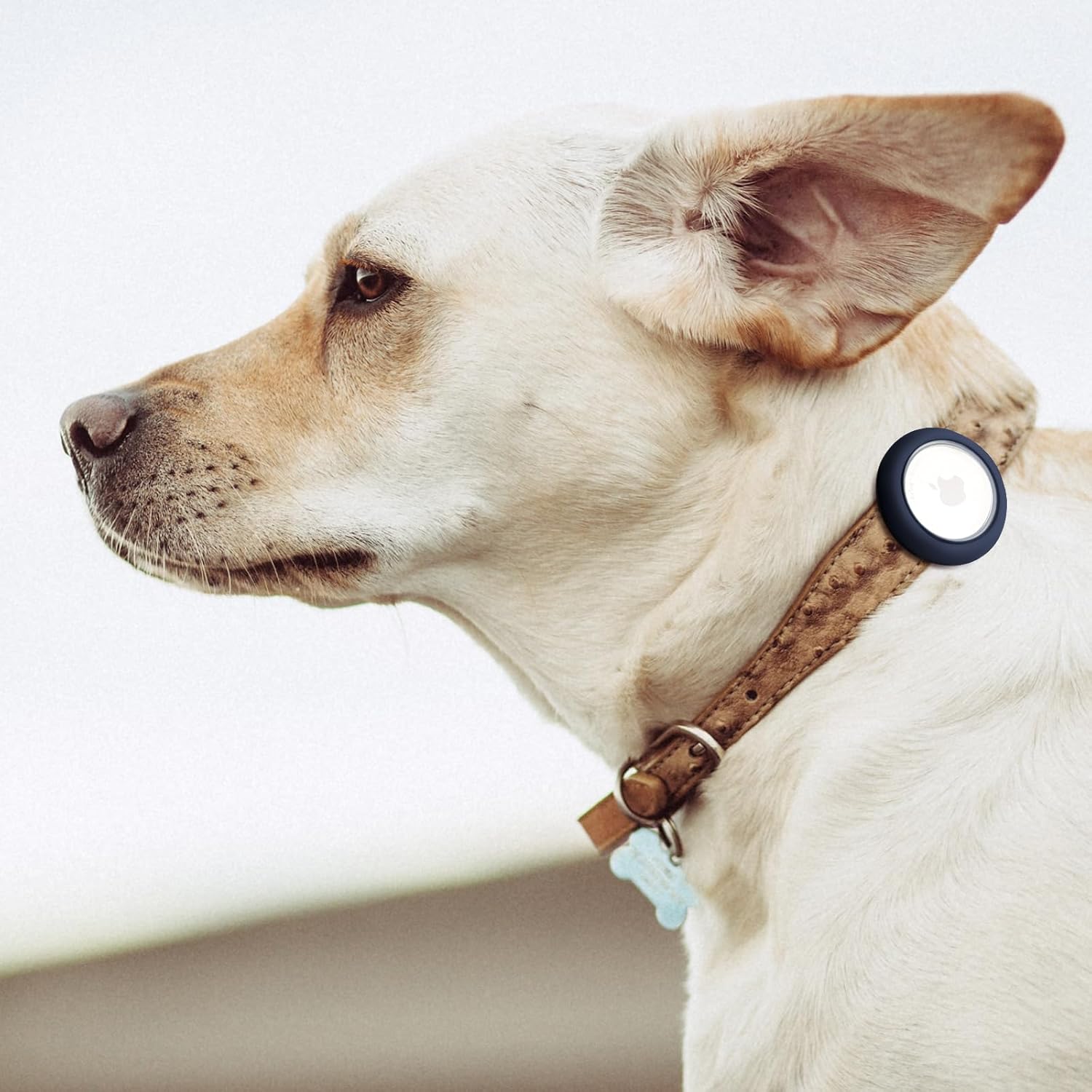 Soporte AirTag para collar de perro, WINSEE Apple AirTag Dog Tracker, funda antipérdida para AirTag para perros y gatos (paquete de 1)