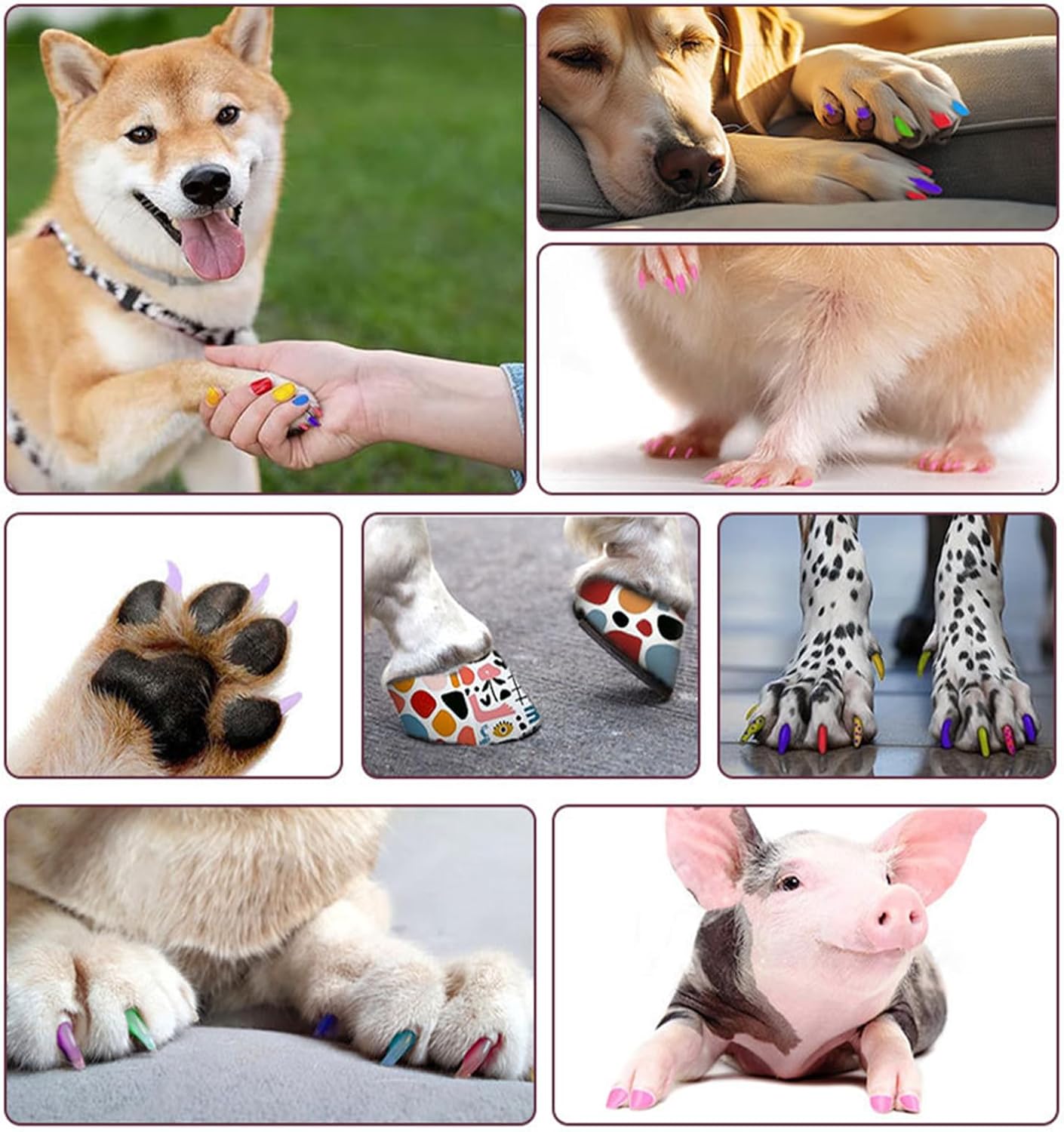 12 Pcs Dog Nail Polish Set 12 Colors Quick Dry Water Based Easy to Remove, 141*11mm