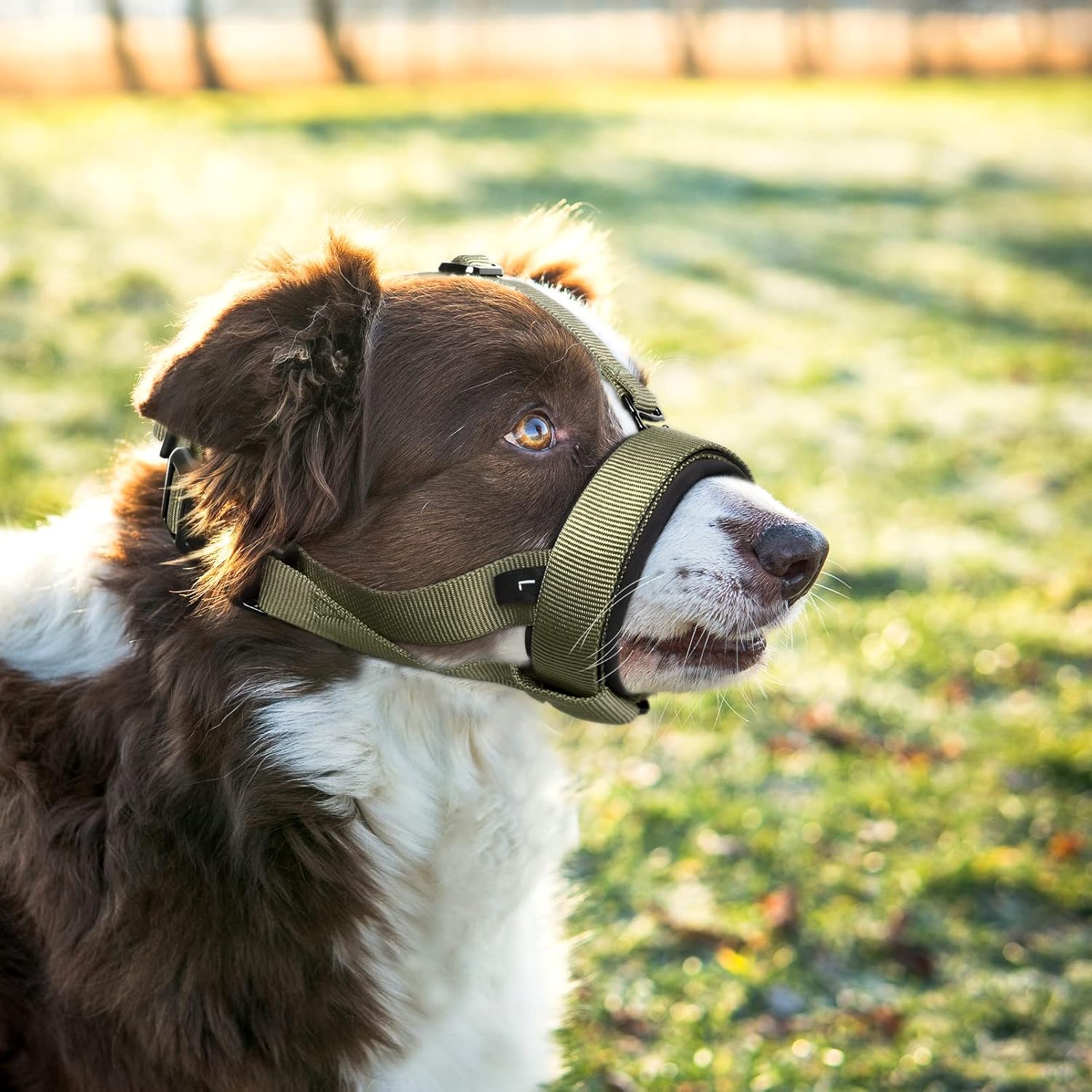 HEELE Bozal para perro de tamaño mediano y grande, para dejar de morder, ladrar y masticar, suave y transpirable, bebible con lazo ajustable, bozal