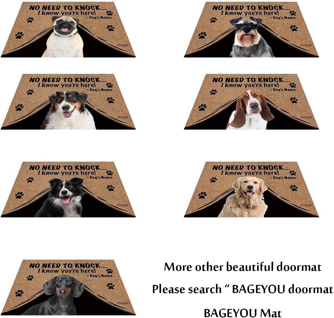 BAGEYOU Felpudo personalizado con nombre de perro con My Love Dog Border Collie Welcome Floor Mat No Need to Knock I Know You’re Here 35.4″ x 23.6″