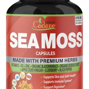 Cápsulas de extracto de musgo marino irlandés orgánico 8700mg – Apoya el sistema inmunológico y la salud general – 90Cápsulas Cápsulas de extracto de musgo marino irlandés orgánico 8700mg – Apoya el sistema inmunológico y la salud general – 90Cápsulas