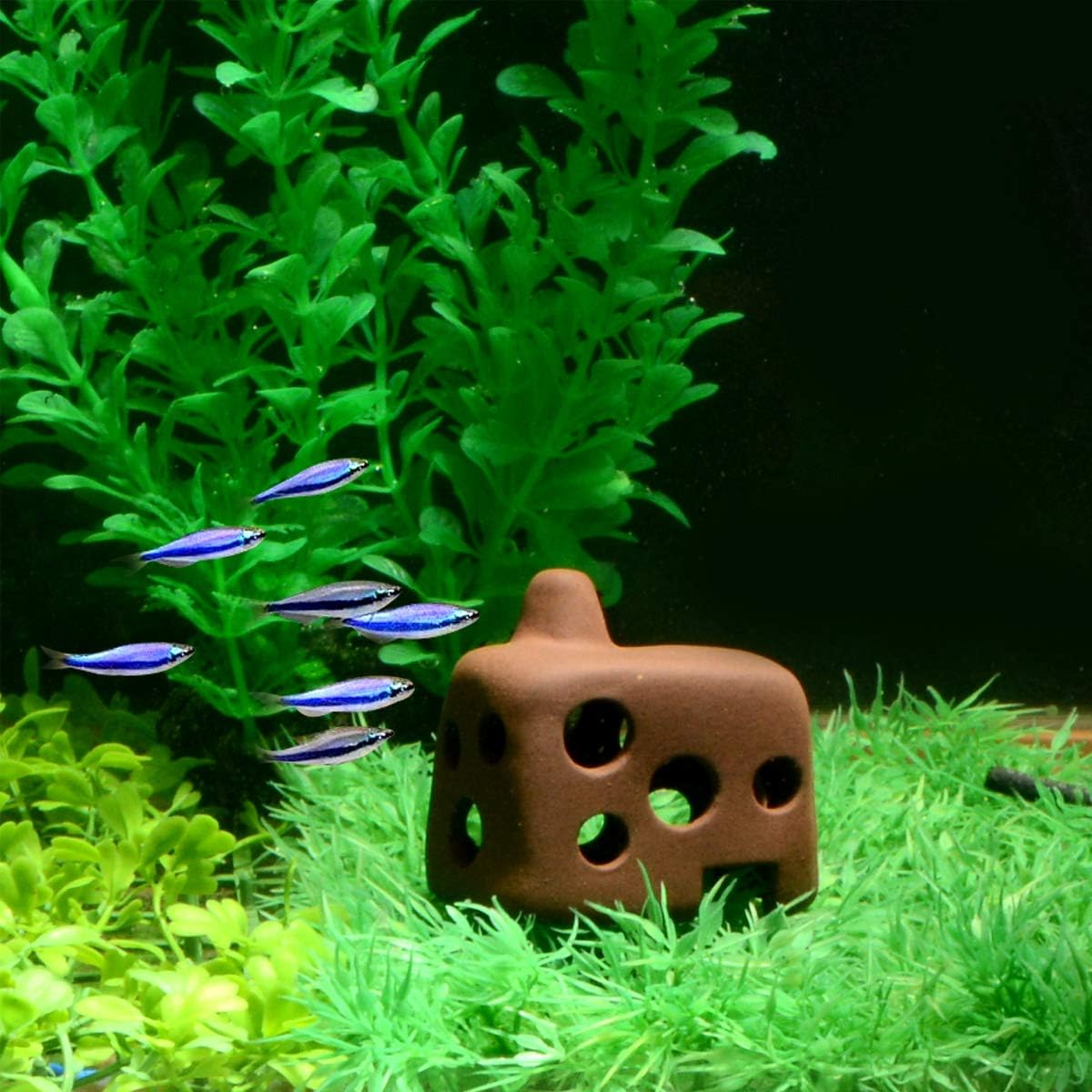 Saim Shrimp Shelter Ocultar Pot Acuario de cerámica Cueva de roca Fish Tank Decoración Ornamento para camarones para descansar y raza