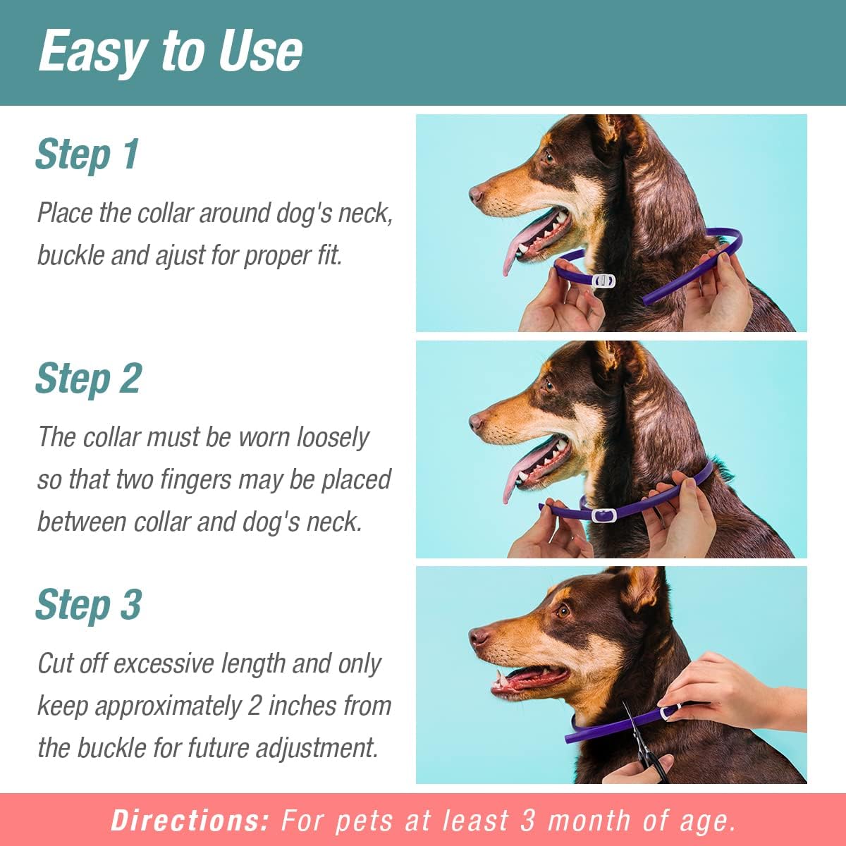 ZingZap Collar antipulgas y garrapatas paquete de 2 unidades, color morado, protege de insectos que pican, ajustable para perros y gatos, fórmula