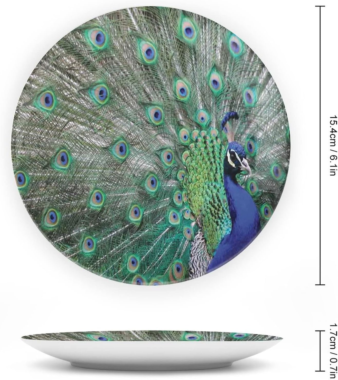 XISUNYA Plato decorativo de 6 pulgadas, plato de vajilla de pavo real, plumas alargadas y alas con impresión de imagen, placa de exhibición de