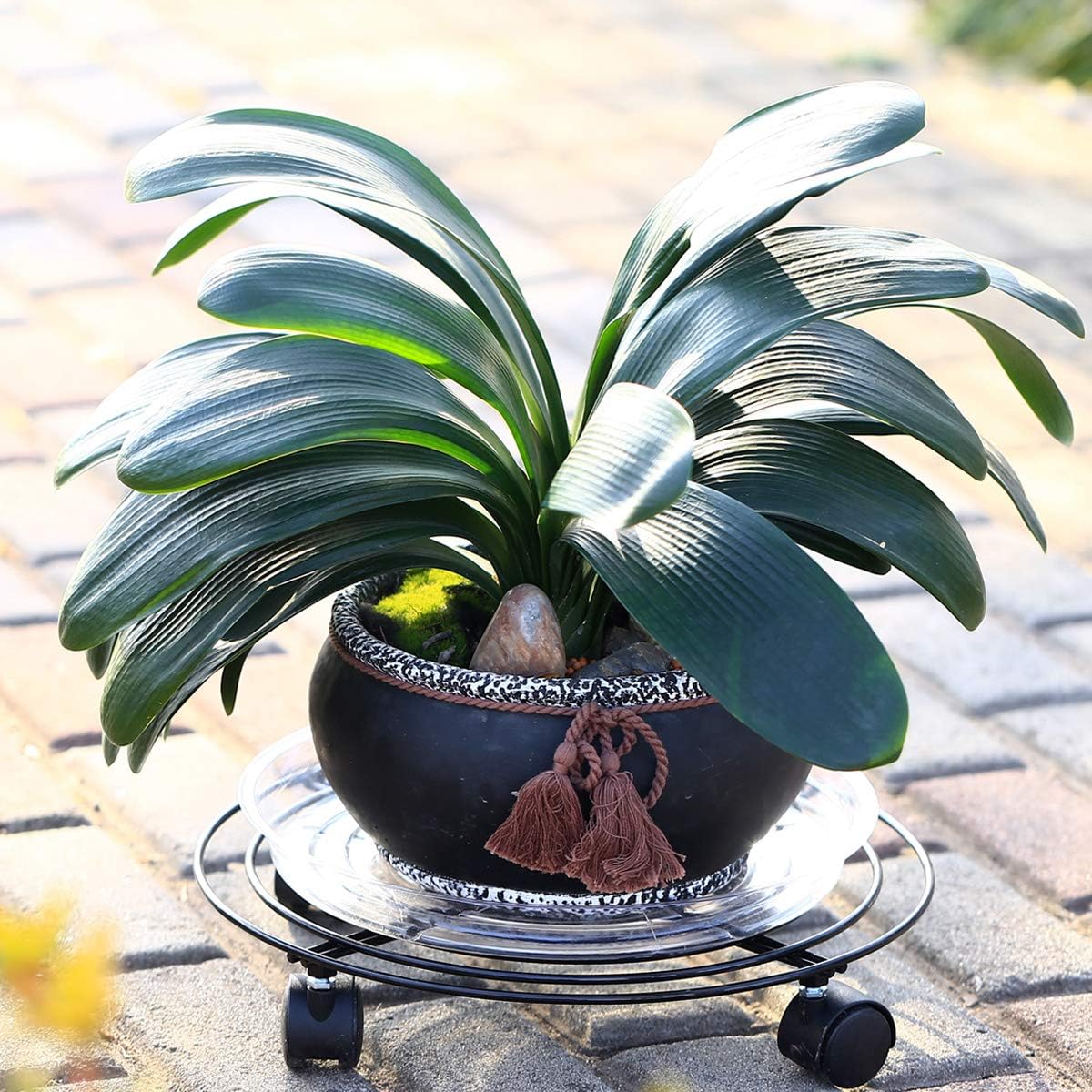 Paquete de 5 soportes grandes de metal para plantas de 13.8 pulgadas con ruedas de hierro forjado de alta resistencia con ruedas para interiores y