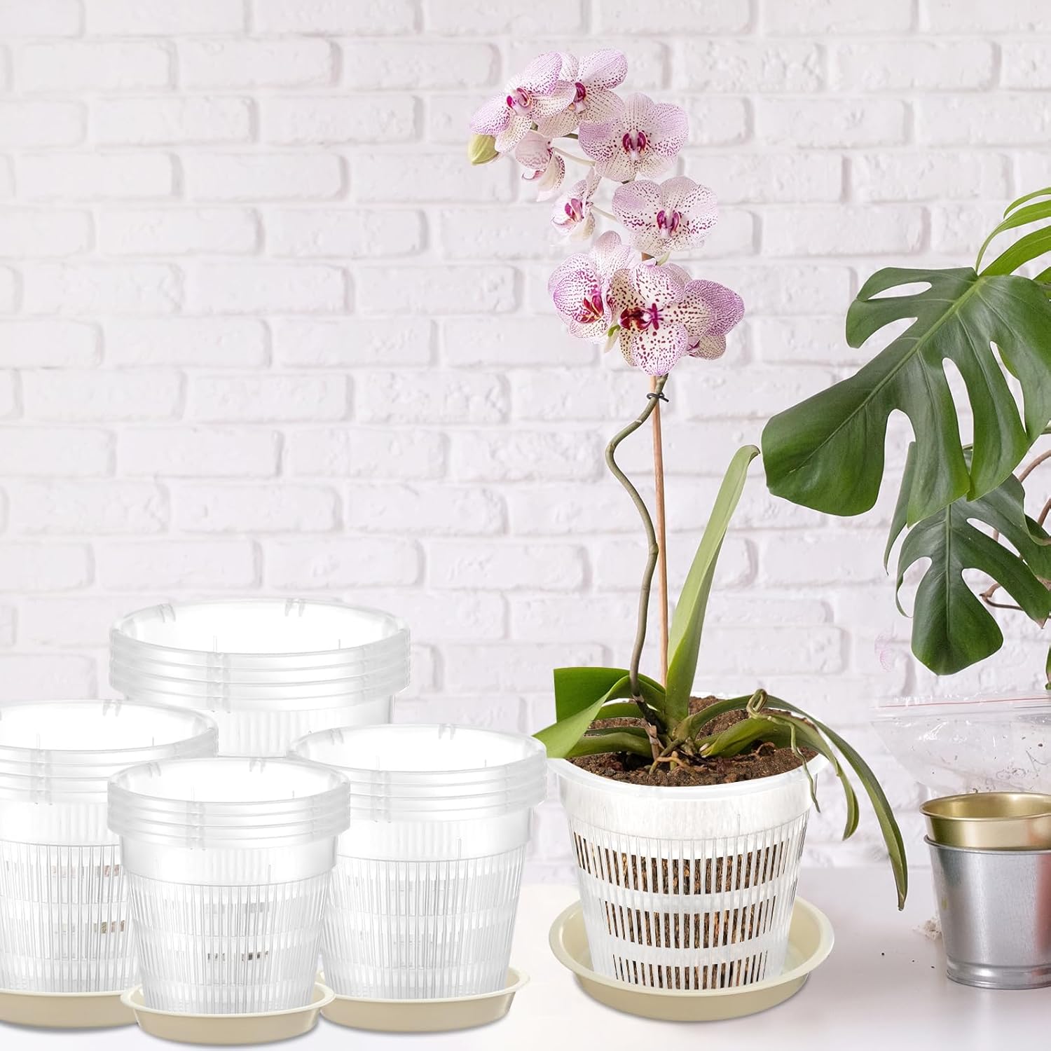 Macetas de orquídeas de 4.55.567.5 pulgadas con agujeros y platillos, macetas de plástico transparente para jardín, trasplante de orquídeas, macetas