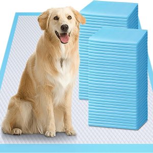 Gimars Almohadillas extra grandes gruesas para orina de perro de 6 capas, extra grandes, a prueba de fugas, control de olor, almohadillas de Gimars Almohadillas extra grandes gruesas para orina de perro de 6 capas, extra grandes, a prueba de fugas, control de olor, almohadillas de