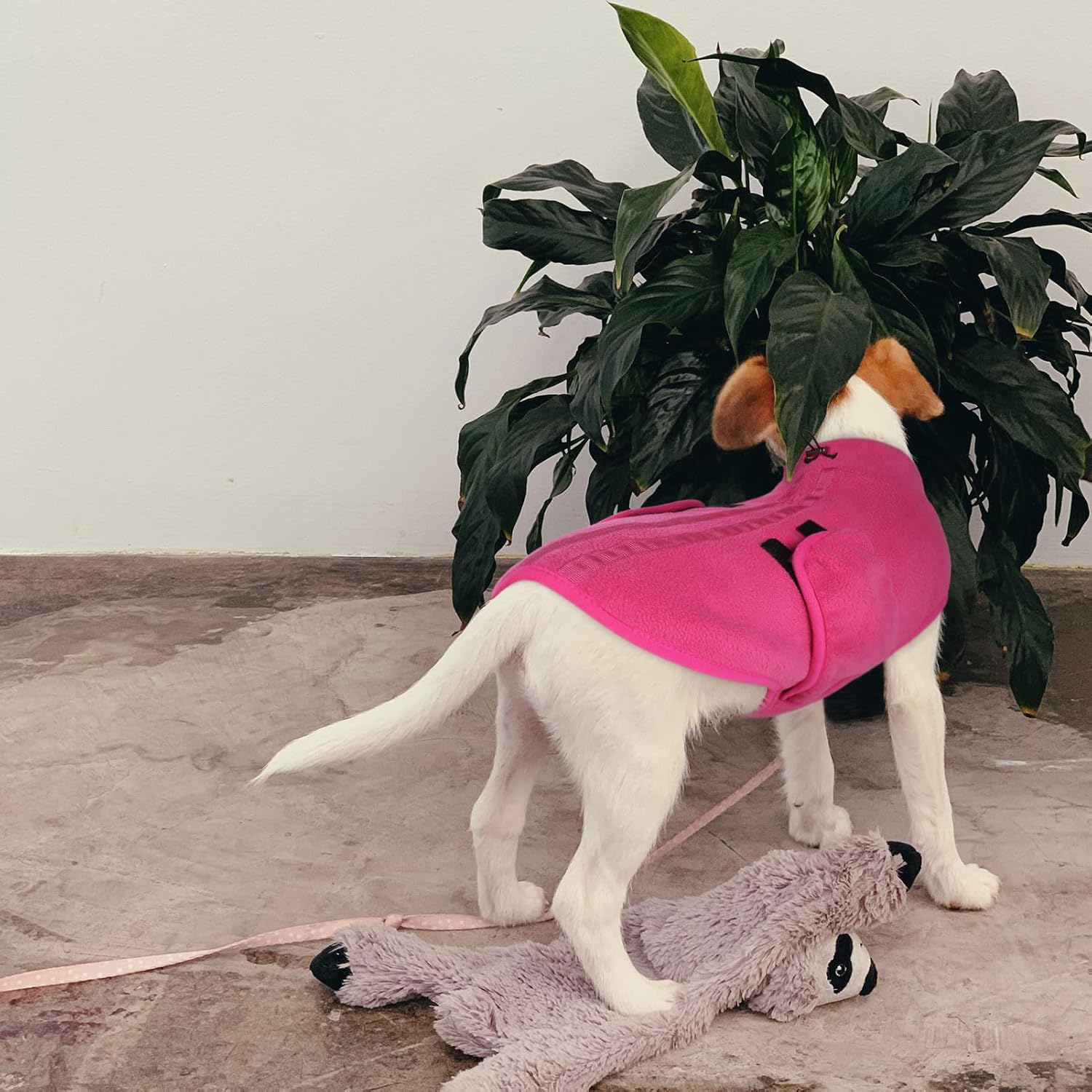 Queenmore Suéter para perro pequeño, chaleco de forro polar suave con agujero para la correa, abrigos cálidos de invierno para perro para clima