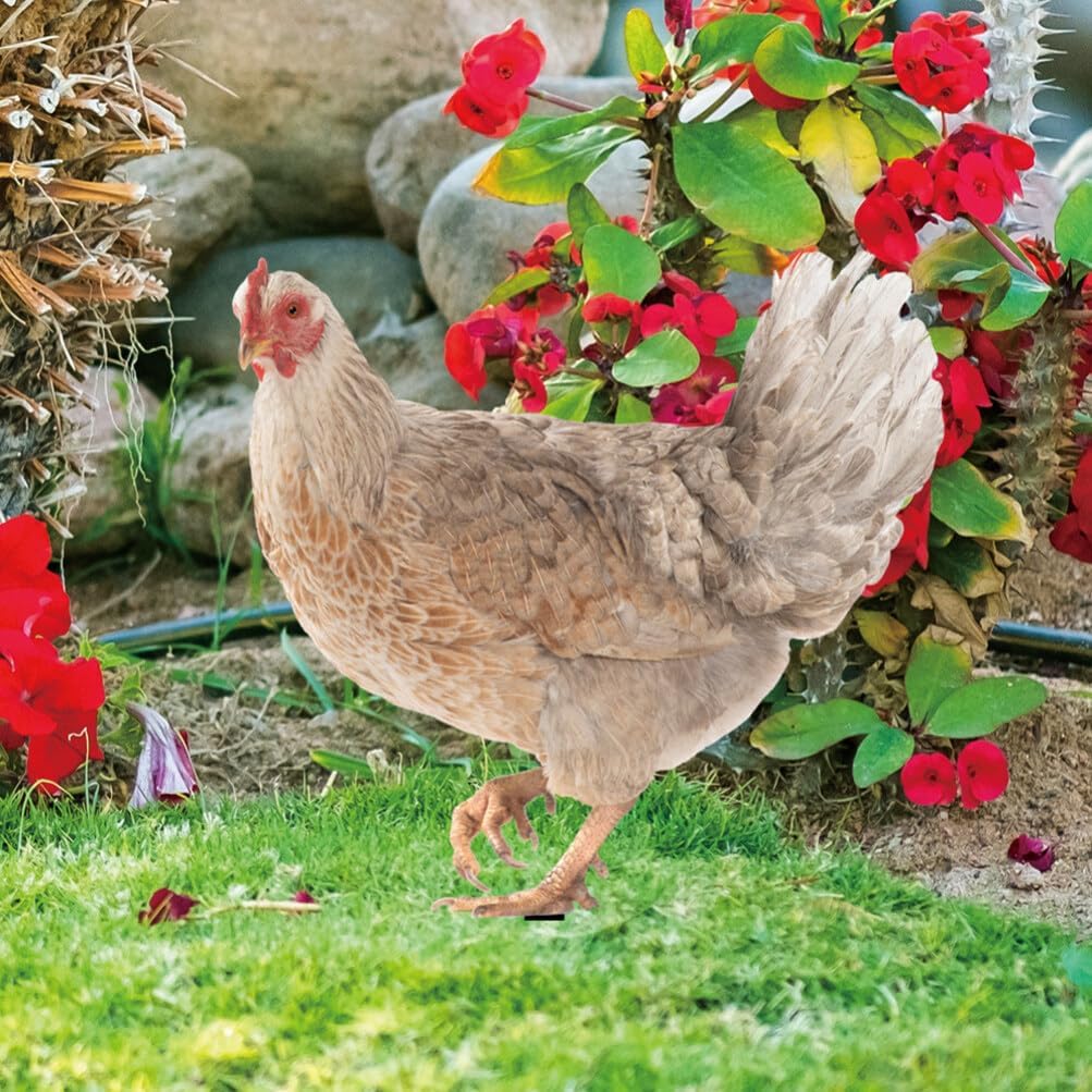 HANABASS Juego de 4 estacas decorativas de acrílico para jardín, estatuas de gallina, decoración de gallina, gallo y animales para patio trasero,