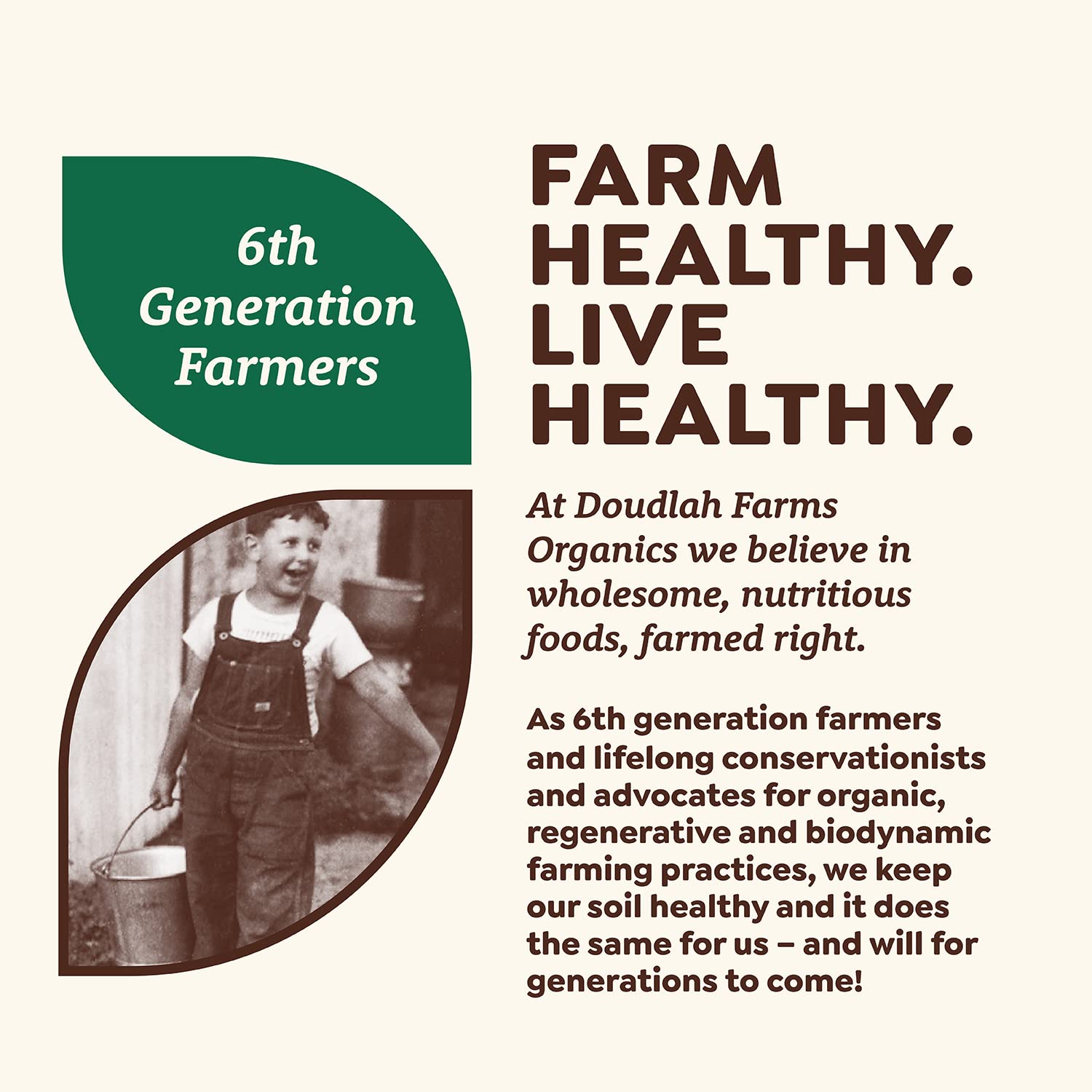 Doudlah Farms – Frijoles orgánicos secos de color rojo oscuro de 25 libras a granel – Cultivados a partir de suelo regenerativo  Veganos, sin OMG,