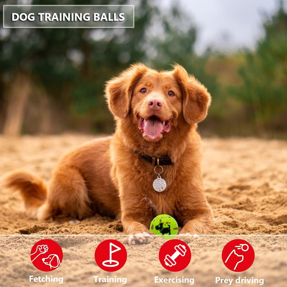 Weierfu Paquete de 12 pelotas de tenis para perros, pelotas de tenis para perros medianos y pequeños, bolas de entrenamiento de 2.5 pulgadas de