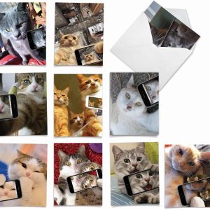 The Best Card Company – Tarjetas de animales en blanco en caja, 4 x 5.12 pulgadas, mascotas surtidas, zoológico, tarjetas de vida silvestre para The Best Card Company – Tarjetas de animales en blanco en caja, 4 x 5.12 pulgadas, mascotas surtidas, zoológico, tarjetas de vida silvestre para