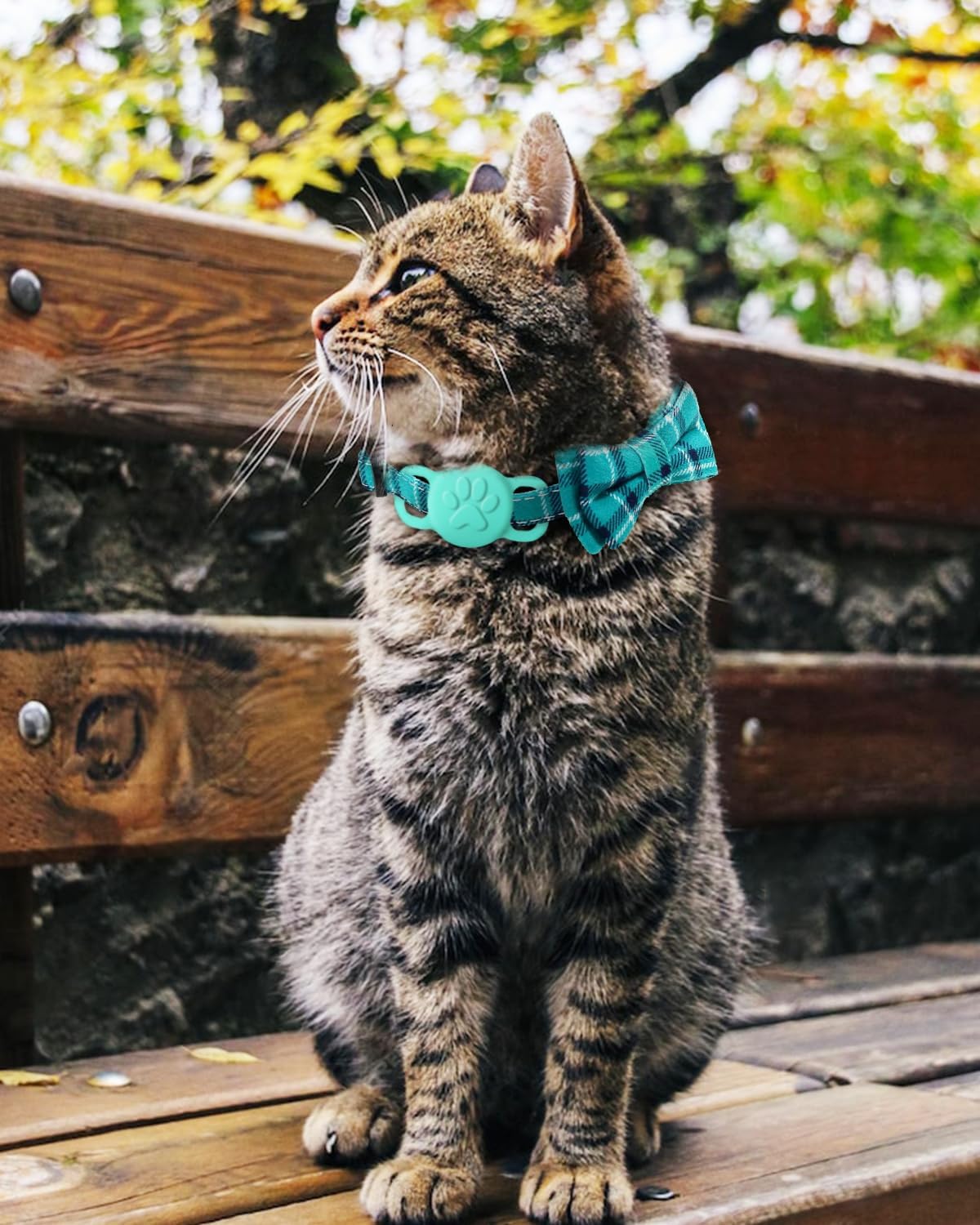 Joytale Collar de gato mejorado con campanas, collares de gato separados con pajarita, paquete de 2 collares de seguridad a cuadros para niñas y