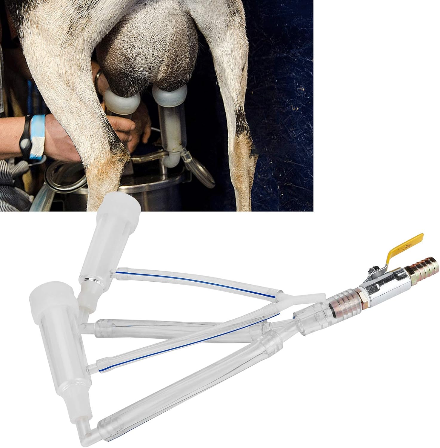 Fdit Copas de tetina de ordeño Piezas de repuesto Juego de tazas de leche de cabra de leche Grupo de ordeño Accesorios para máquinas de ordeño