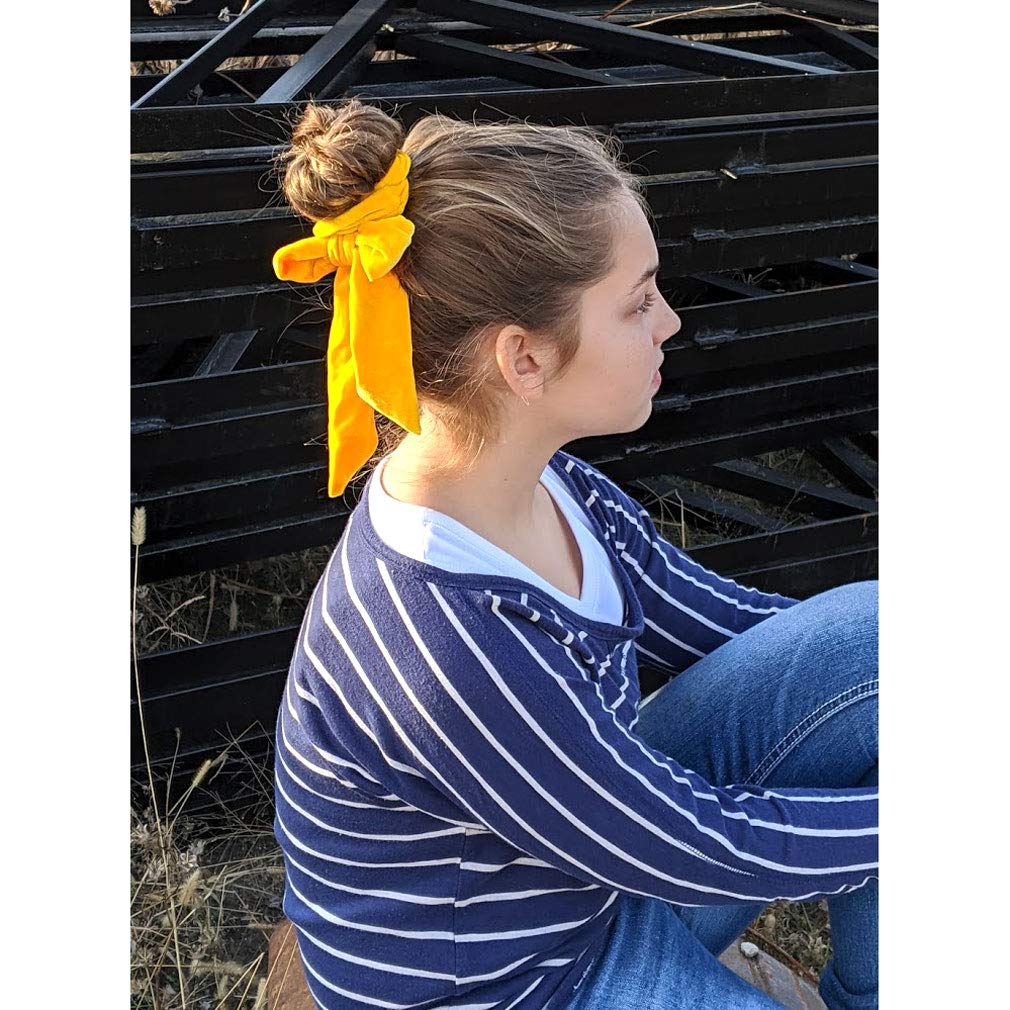 2 coleteros de terciopelo de cola larga con lazo para el cabello, variedad de color amarillo dorado y marrón claro