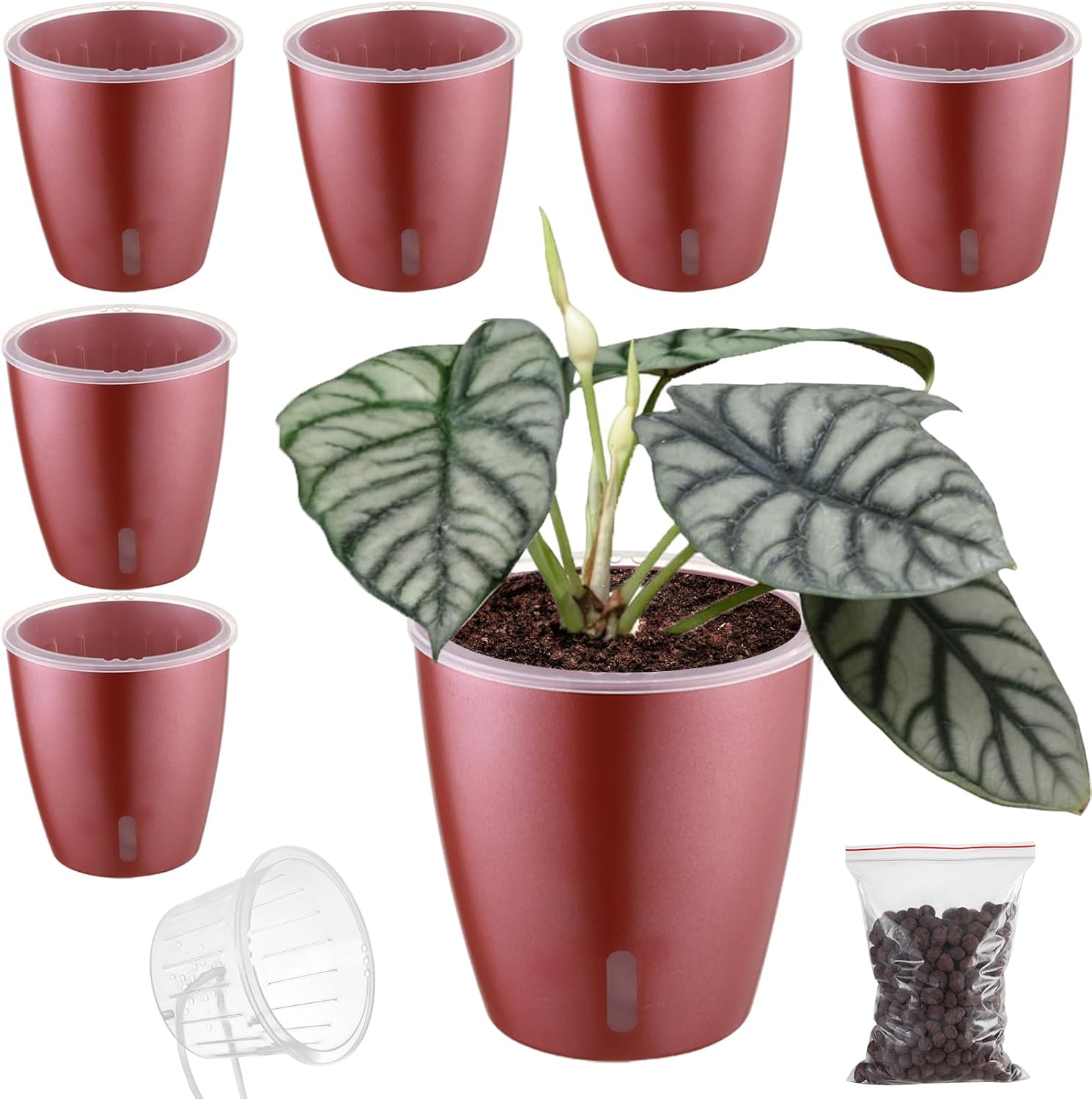Paquete de 6 macetas de riego automático de 5 pulgadas para plantas de interior con indicador, maceta de orquídeas con mecha transparente para