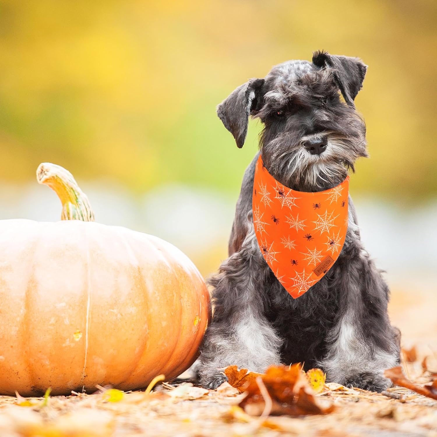 Bandana de Halloween para perro, bufanda reversible para cachorros, varios tamaños ofrecidos, bandanas triangulares de Halloween para perros