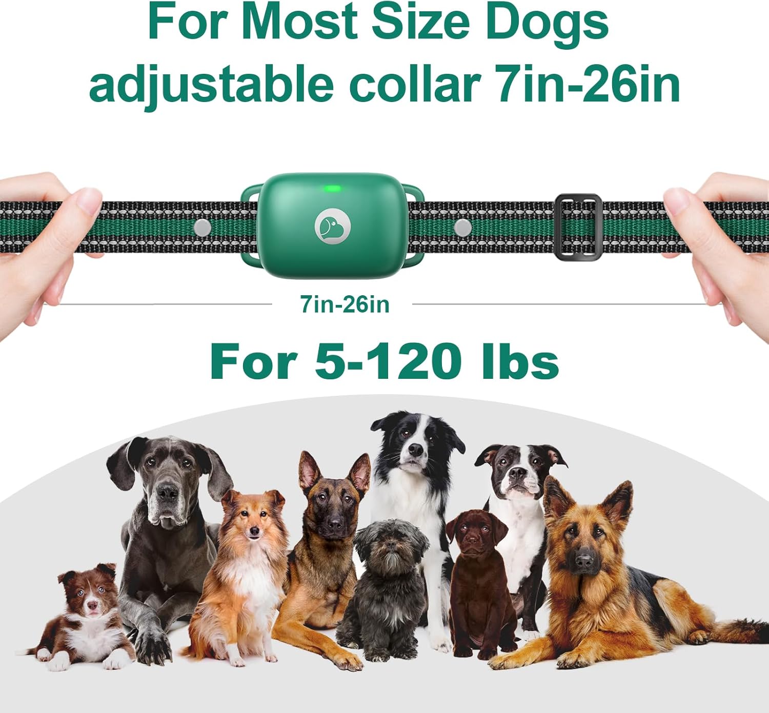 Collar de entrenamiento para perros, collar de choque para perros con bloqueo de seguridad, collar electrónico impermeable con control remoto de
