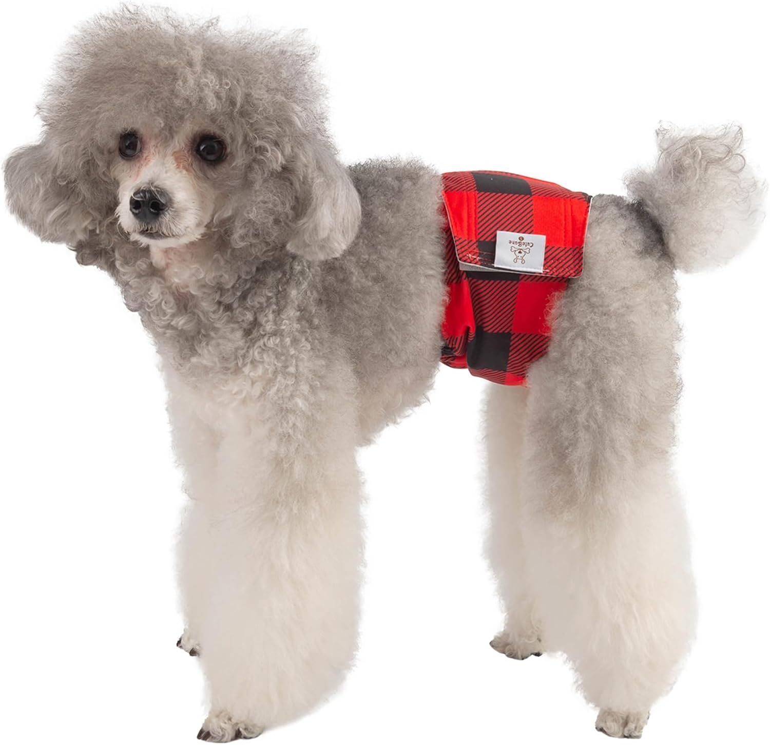 CuteBone – Pañales lavables para perro macho, 3 unidades por paquete, modelo DM27M