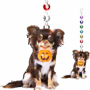 Fanery Sue Regalos conmemorativos para perros por pérdida de perro, atrapasoles conmemorativo personalizado para mascotas con imagen, regalos Fanery Sue Regalos conmemorativos para perros por pérdida de perro, atrapasoles conmemorativo personalizado para mascotas con imagen, regalos