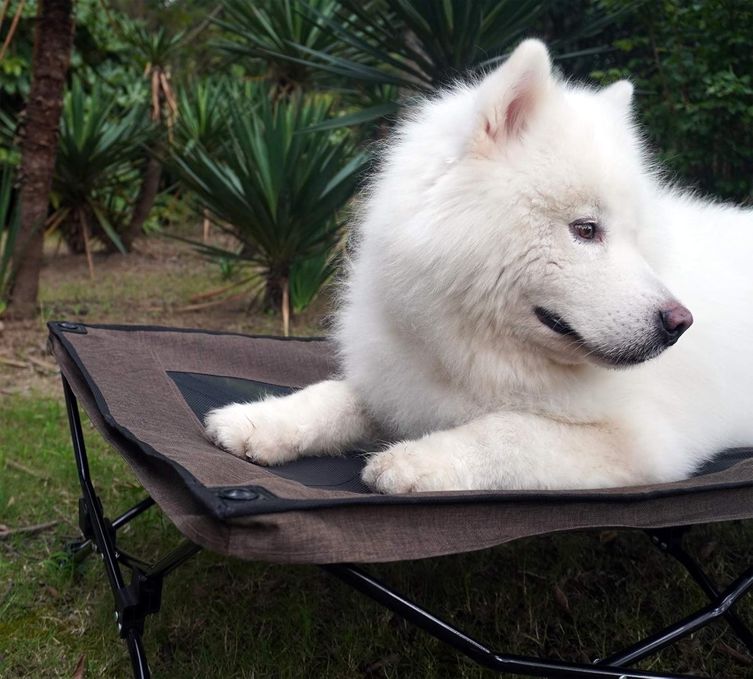 YEP HHO Cama plegable elevada para mascotas de 54 pulgadas de largo, portátil, transpirable, refrescante, de malla de textileno, cama para dormir