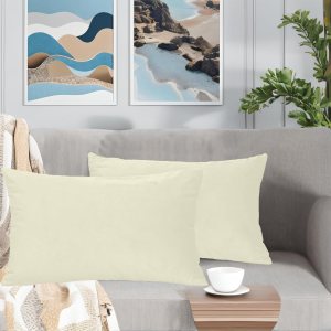 FULDGAENR Juego de 2 fundas de almohada de terciopelo de 12 x 20 pulgadas para sofá, color blanco crema, fundas decorativas para cojín lumbar de 12 FULDGAENR Juego de 2 fundas de almohada de terciopelo de 12 x 20 pulgadas para sofá, color blanco crema, fundas decorativas para cojín lumbar de 12