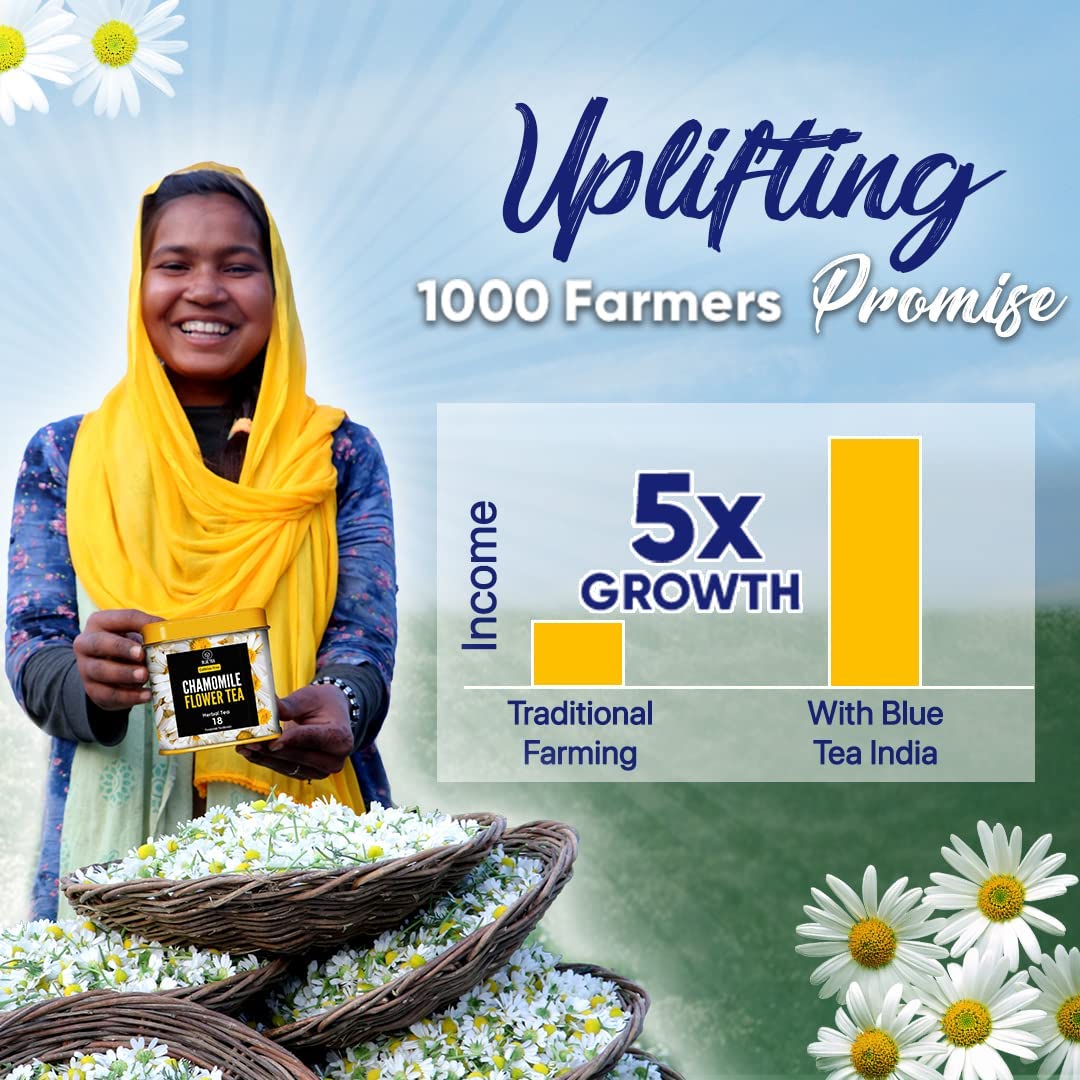 BLUE TEA – Té de hierbas de cardamomo de flor de guisante de mariposa – 10 bolsas de té  Té desintoxicante  Colorante natural de alimentos, té