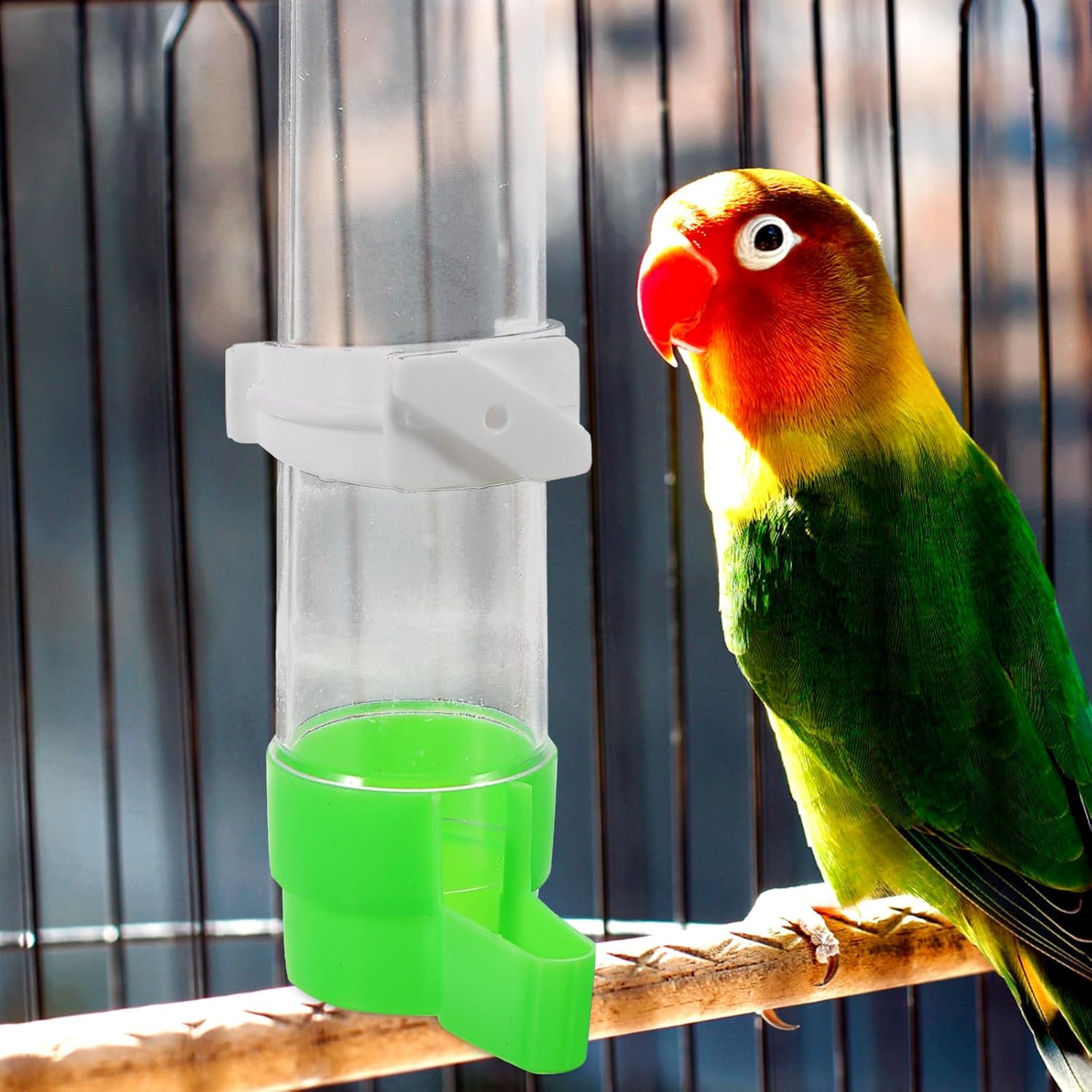 Bebedero de pájaros Fuente de agua para pájaros Dispensador de agua para pájaros, alimentador de loros, accesorios para jaula de pájaros,