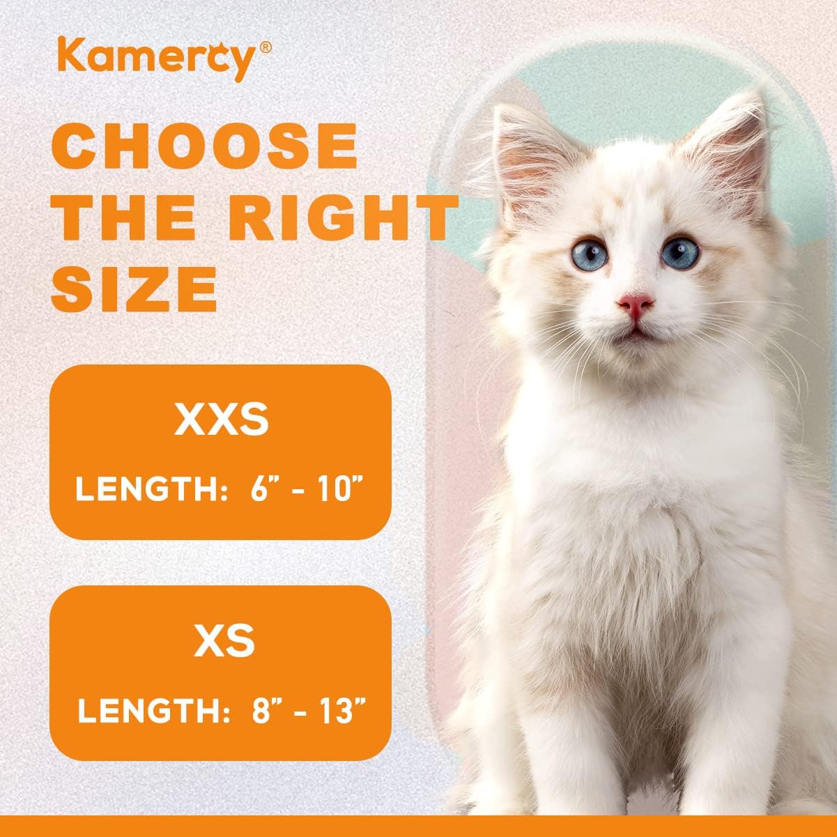 Collares para gatos, collar de terciopelo turquesa para gato, collar de gato con dijes y campana, collar de seguridad para gatos