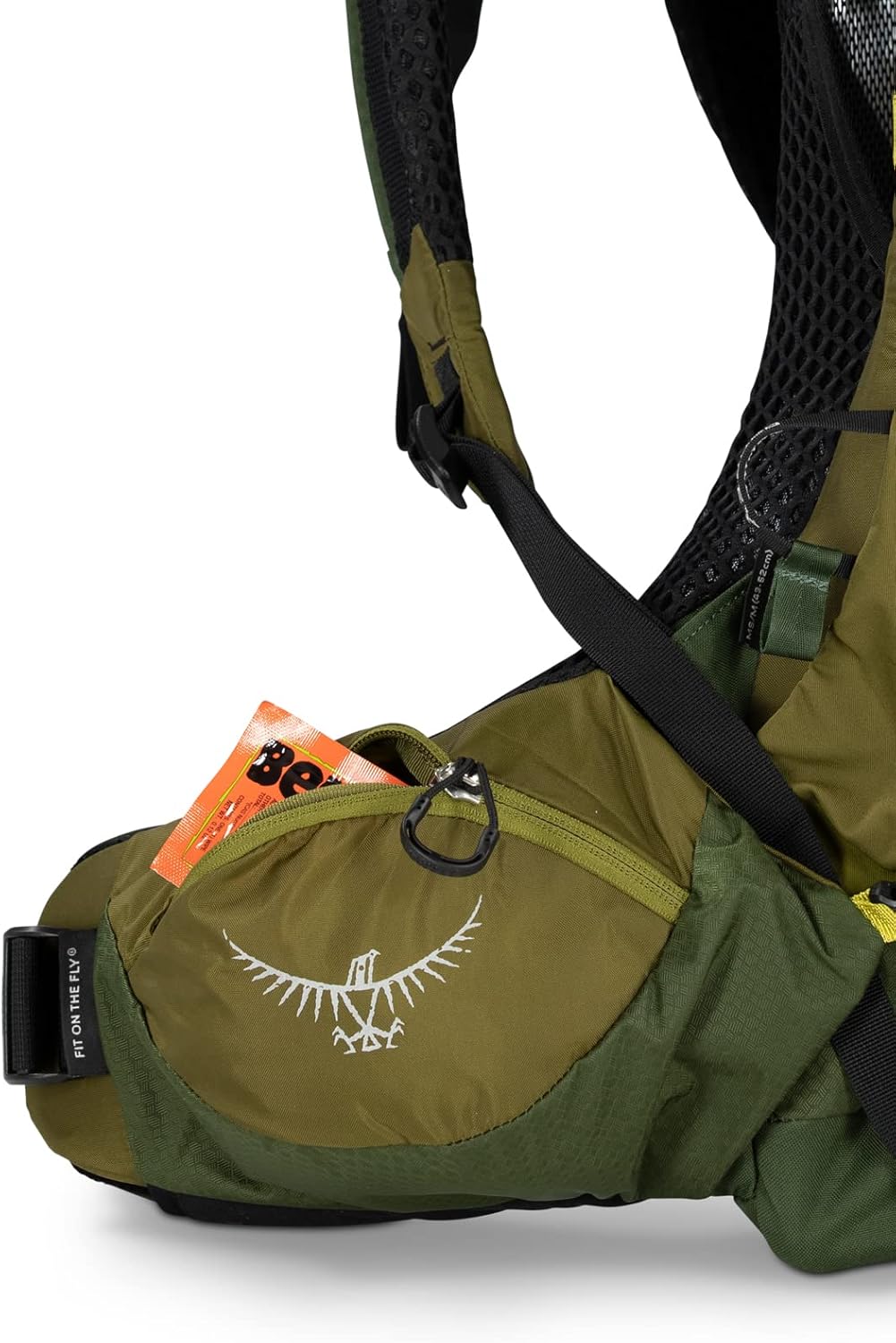 Osprey Atmos AG LT 50L Mochila de mochilero para hombre, Scenic ValleyVerde Peppercorn, LXL
