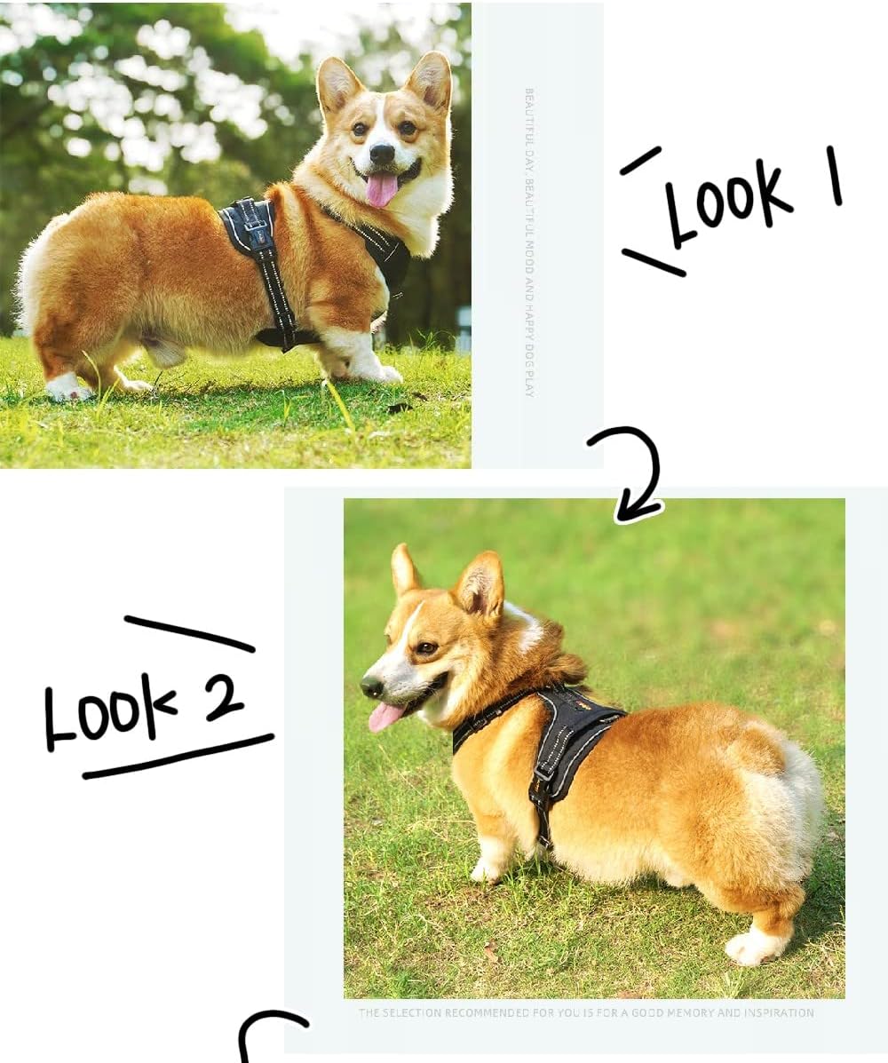Arnés para perro con juego de correa, arnés de chaleco para perro sin tirones con 2 clips para correa, arnés acolchado ajustable reflectante con asa