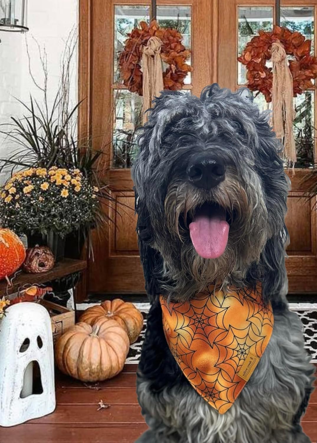 Willow Creek Pet Apparel Pañuelo bandana para perro o cachorro  Halloween paquete de 2  Tela duradera de doble capa  Lindo y moderno  Todas las