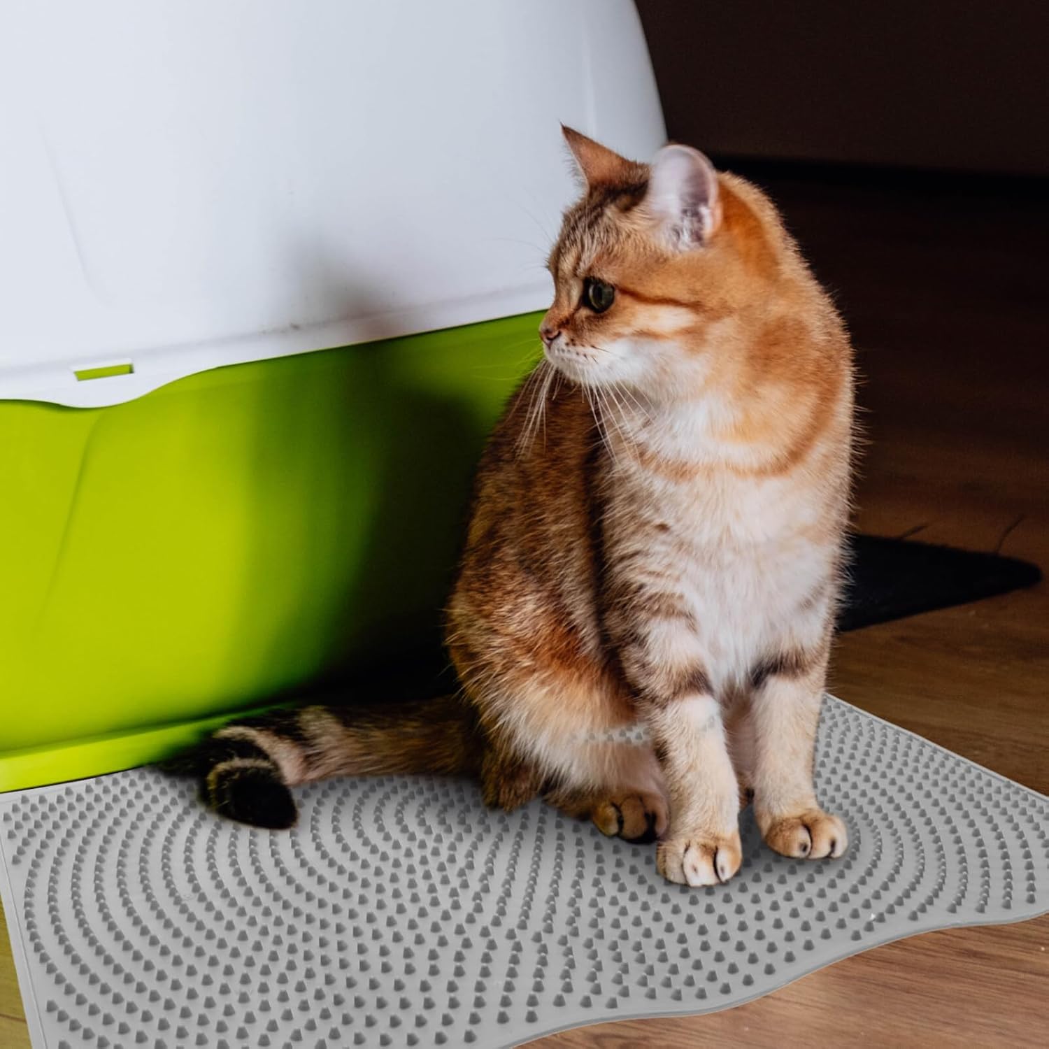 POPETPOP Alfombrilla plegable para arena para gatos, bandeja de 2 niveles, tapete de alimentación para gatos, tapete de arena pequeña, tapete de