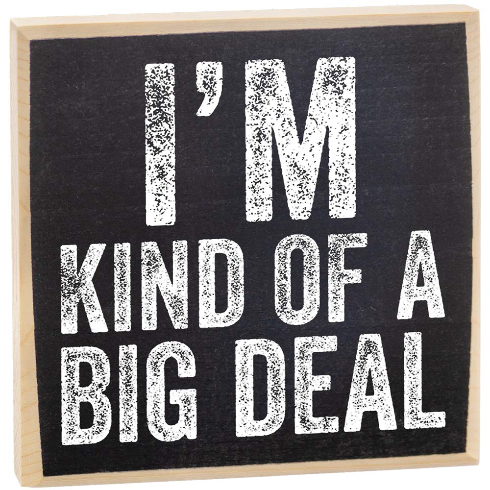 Letrero de madera con texto en inglés “I’m Kind Of A Big Deal”, decoración divertida para el hogar, oficina, divertidos letreros de oficina, gran