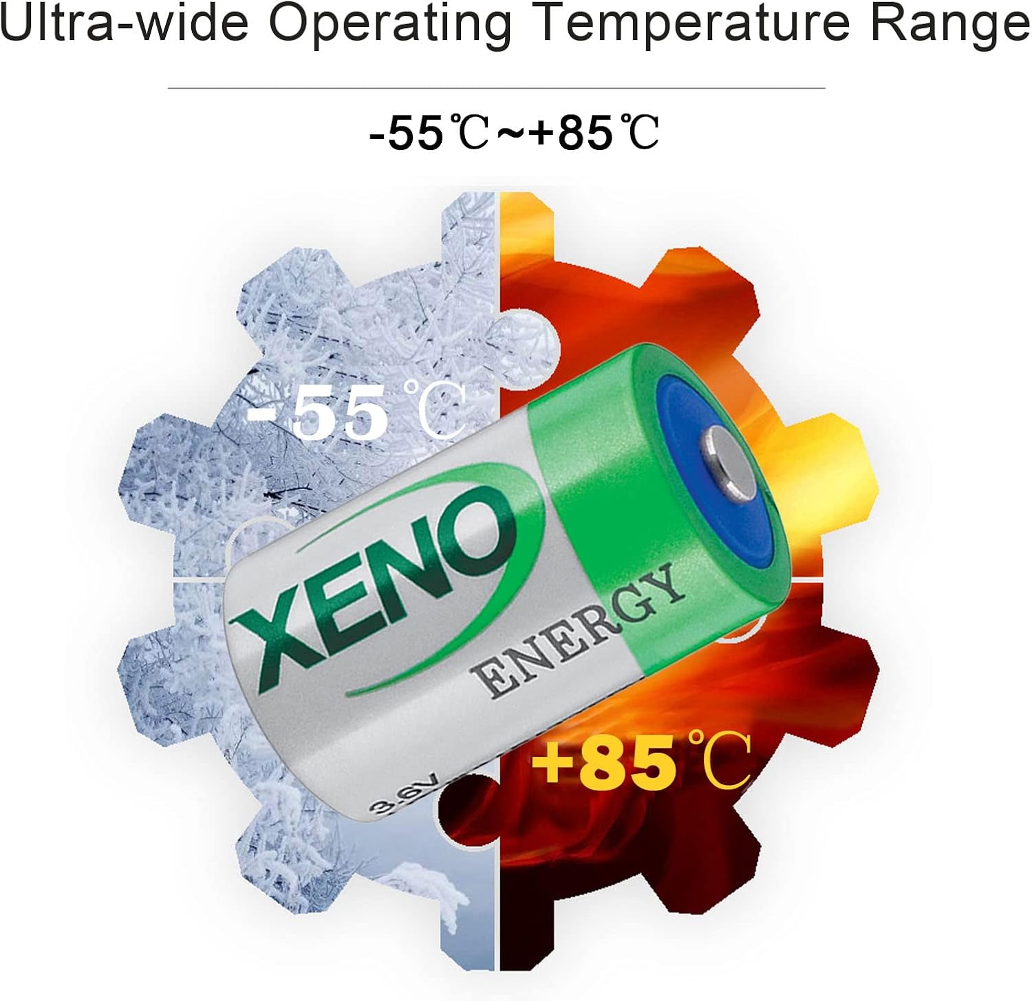 STEPMAX Xeno Energy XL-050F – Batería de litio de 12 AA de 3.6 V, batería de repuesto para TL-2150 TL-4902 TL-5101 TL-5151 TL-5902 LS14250 (5