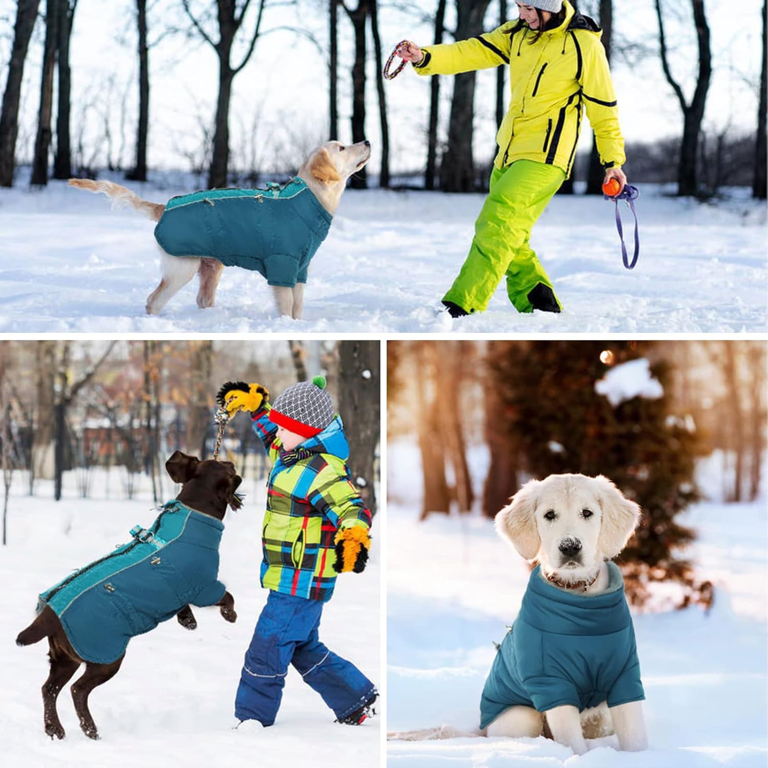 Bonaweite Abrigo de invierno repelente al agua para perros, abrigos para clima frío, abrigos para perros pequeños, medianos y grandes, chaleco